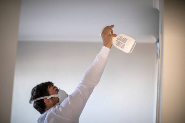 Best Mold Remediation for Specific Building Types in Bear Creek, AL